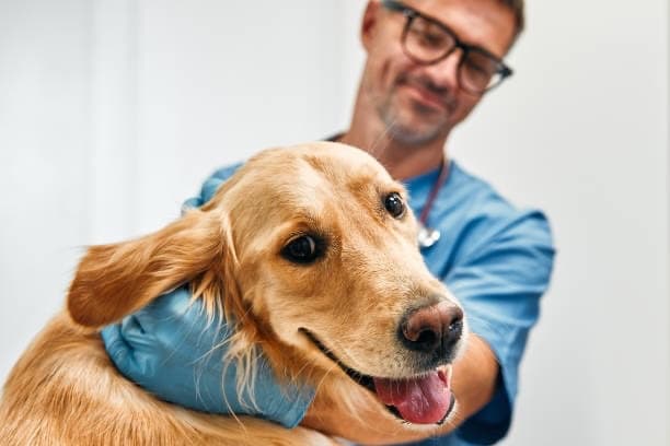 Finley Vet Clinic