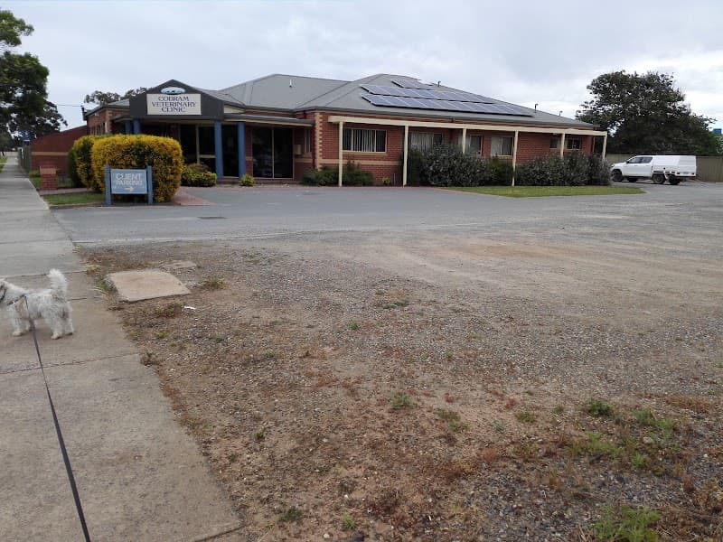 Cobram Veterinary Clinic