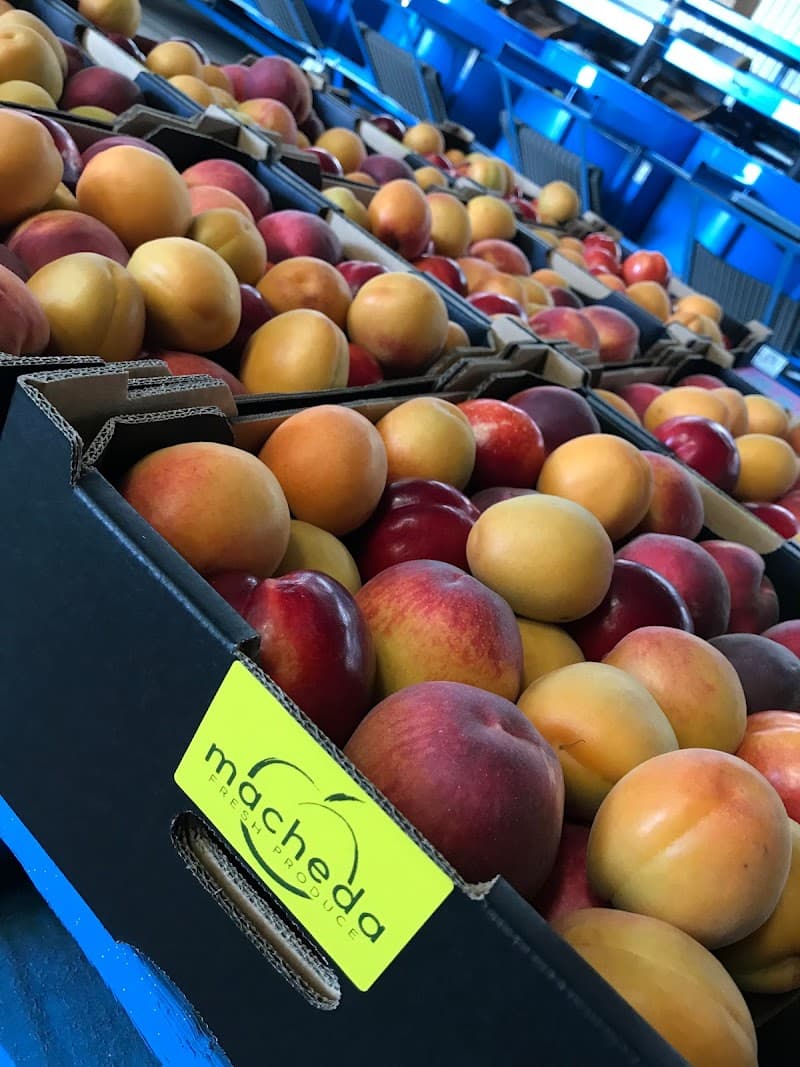 Macheda Fresh Produce
