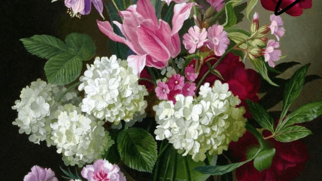 Koonoomoo Flowers & Hampers