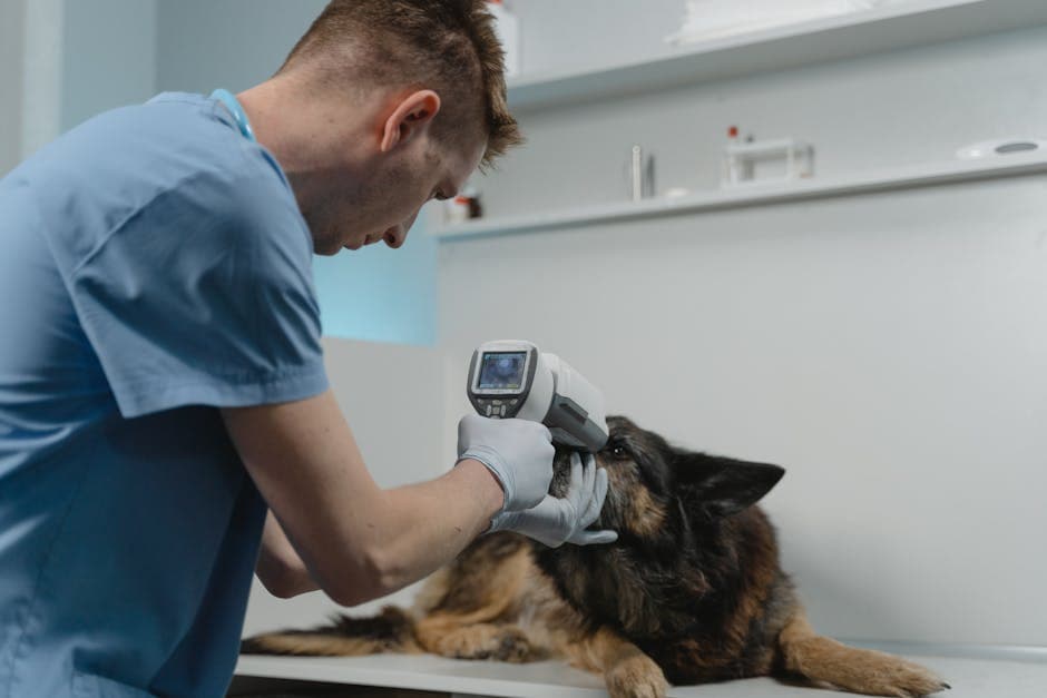 Berrigan Veterinary Clinic