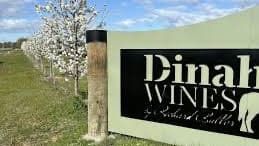 Dinah Wines