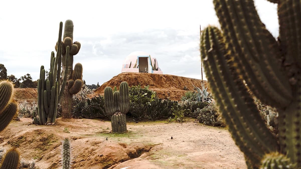 Cactus Country