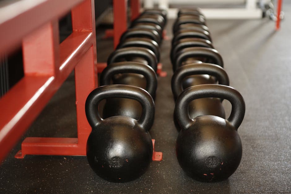 Public Exercise Equipment (Aerobic Cycle, Box Jumps, Step Ups, Pull Ups)