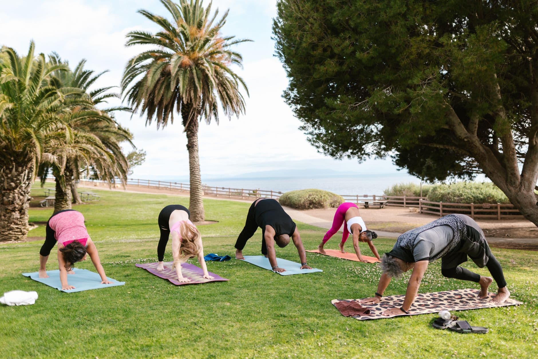 Community Yoga in the Park — 6 Sept