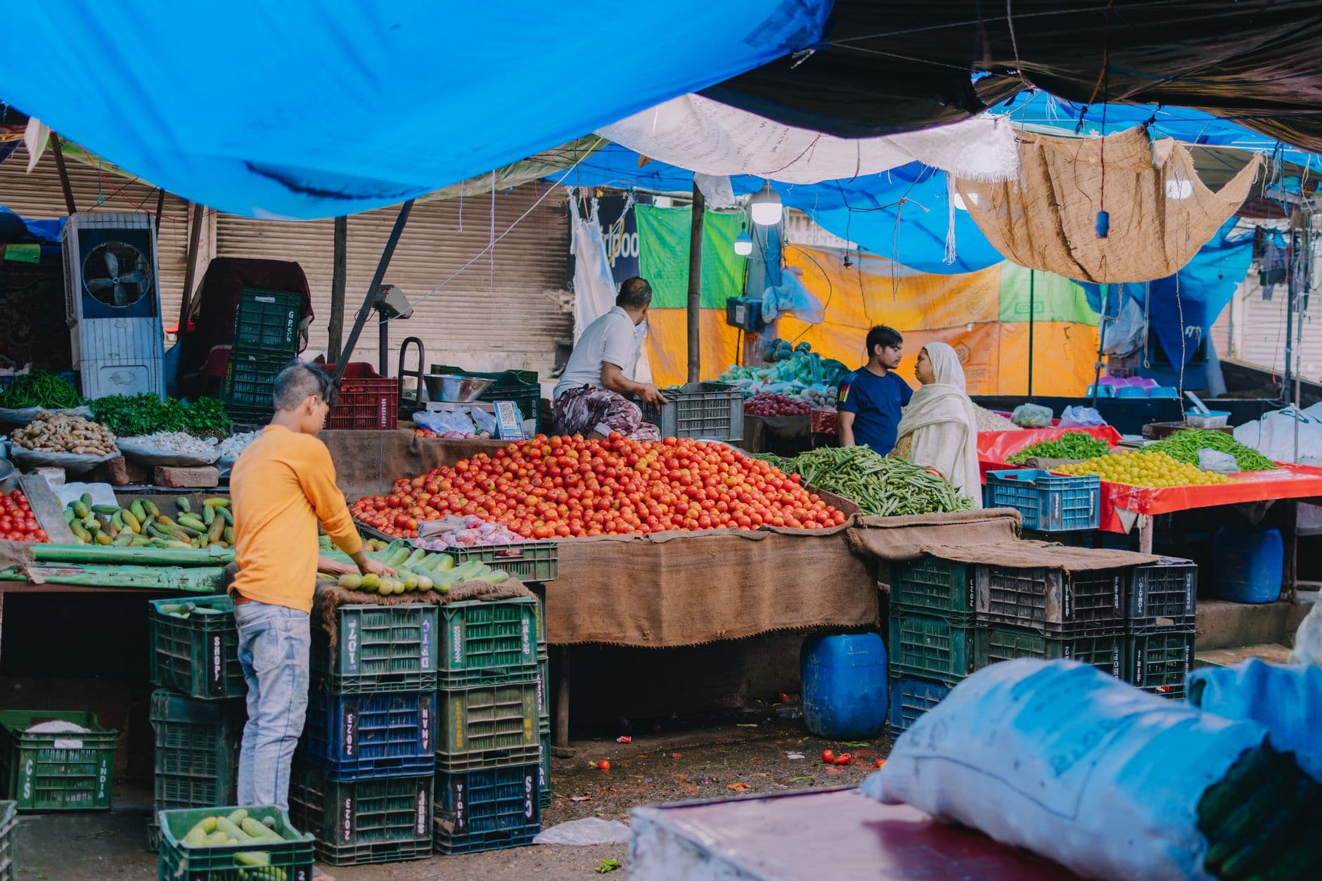 Finley Farmers & Makers Market — 8 Aug