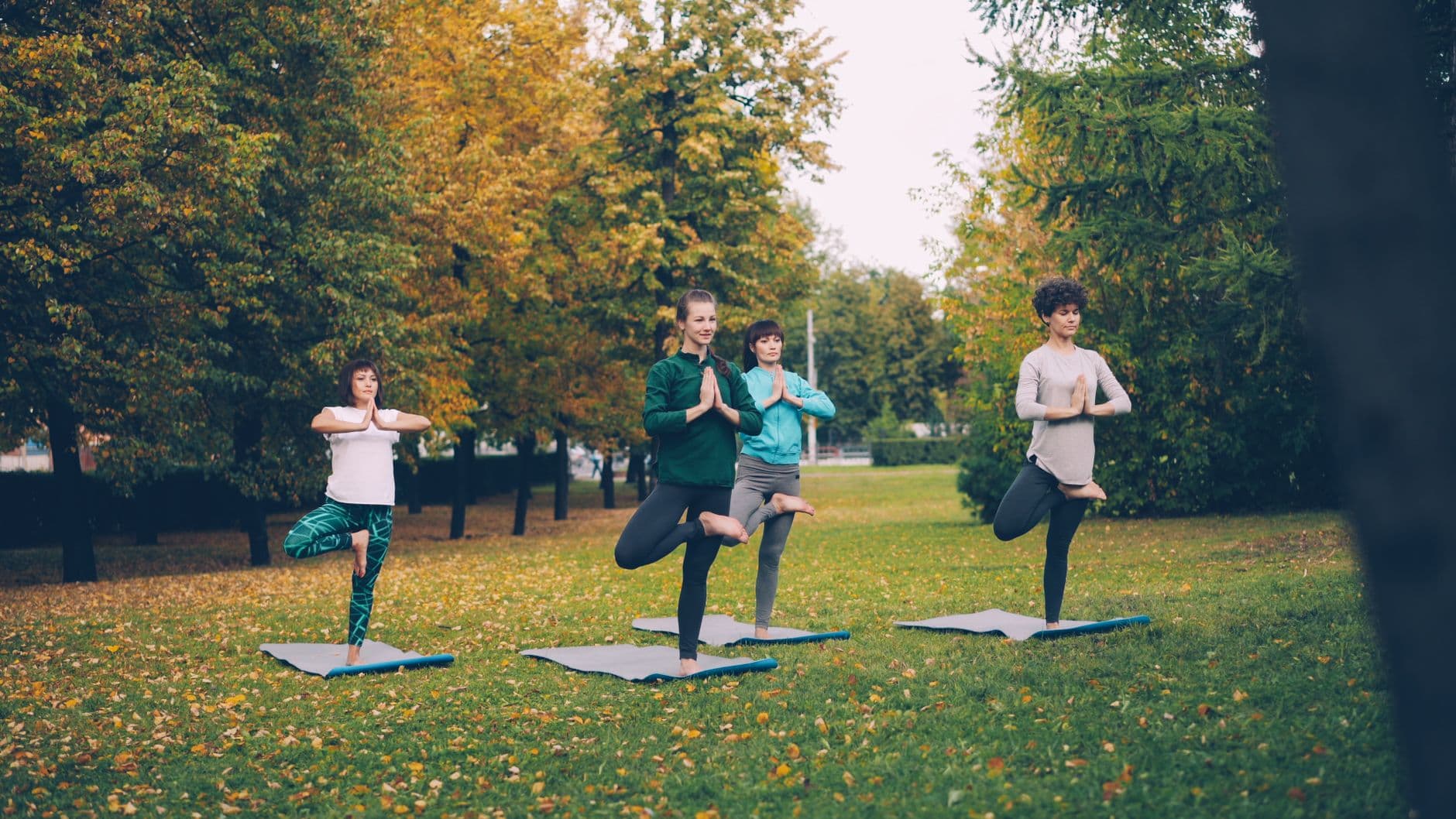 Community Yoga in the Park — 19 July