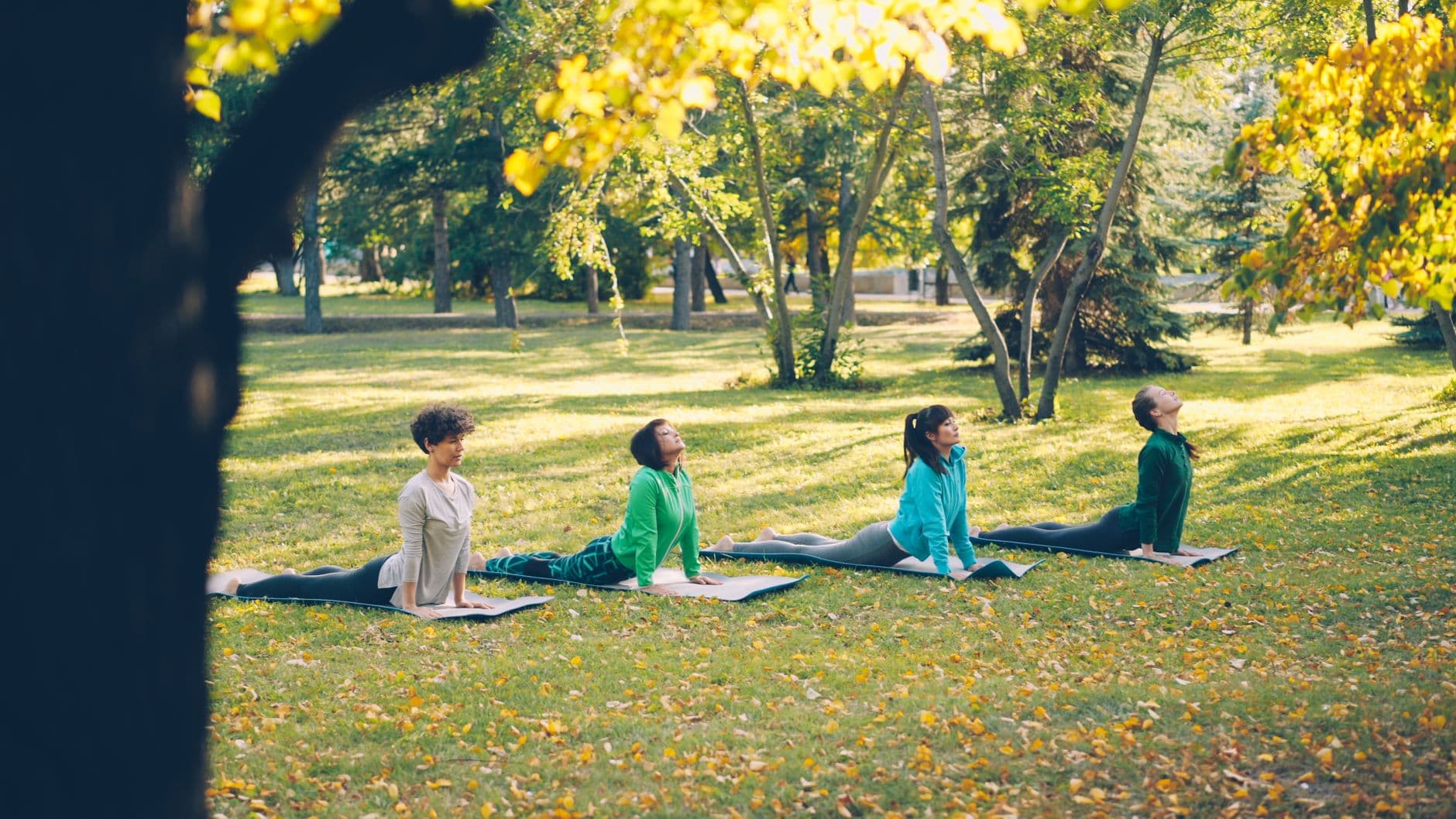 Community Yoga in the Park — 9 Aug