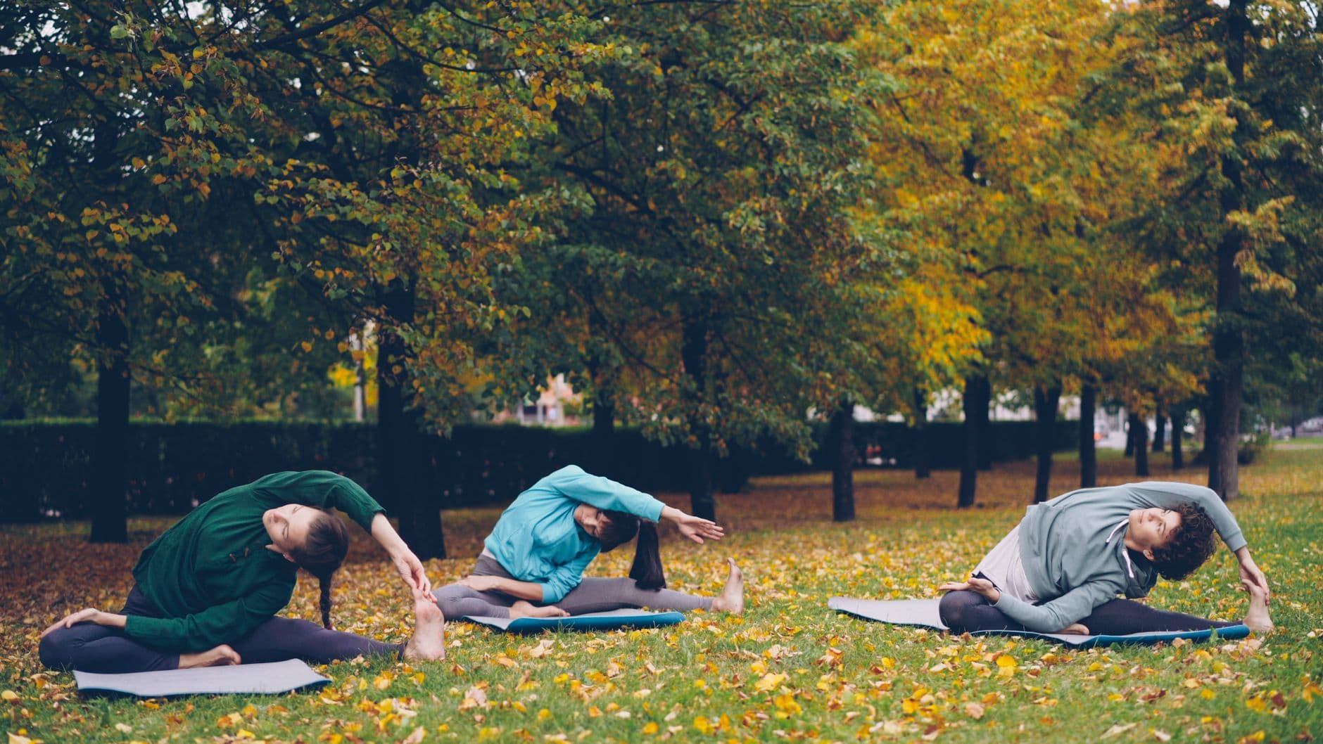 Community Yoga in the Park — 28 June
