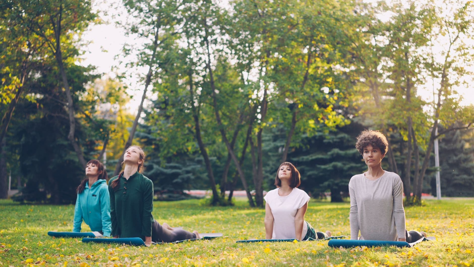 Community Yoga in the Park — 30 Aug