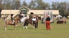 Test - Berrigan Show
