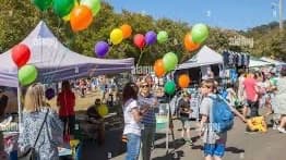 Test - Finley Primary Scool Fete