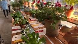 Test - Spring Flower & Garden Show